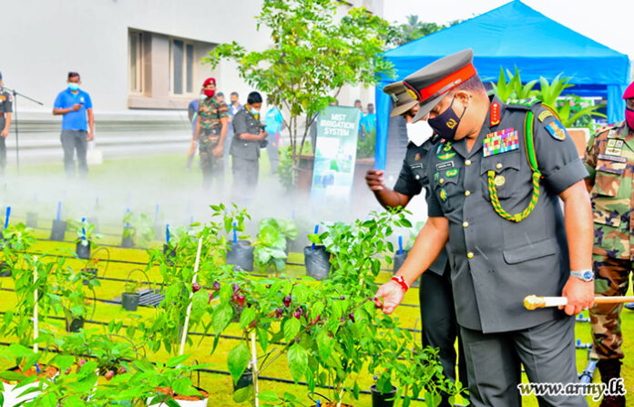 Army Establishes Its New Directorate for Agriculture and Livestock