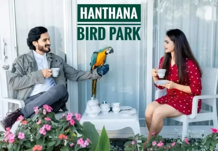 Hanthana International Bird Park & Eco-tourism Zone