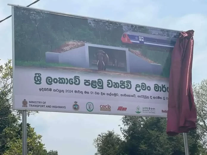 Sri Lanka Initiates Construction on First Wildlife Tunnel to Tackle Elephant-Train Collisions