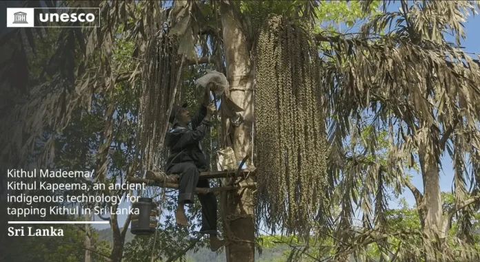 Sri Lanka’s Kithul Tapping Tradition Added to UNESCO Intangible Heritage List